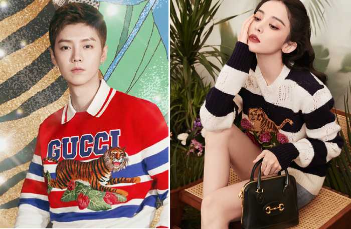 Mẫu áo hàng hiệu Gucci in hình hổ thật đắt giá