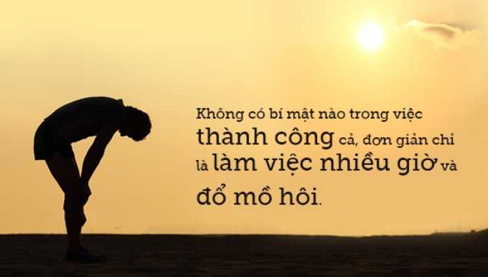 Hãy kiên trì với những lựa chọn của bạn